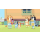 Switch Bluey: The Videogame - 1182232 - zdjęcie 2